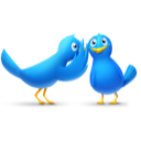 animals, bird, birds, chat, talk, twitter icon