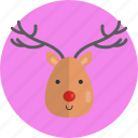 reindeer, antler, deer, horned animal, mammals, stage, wildlife 