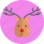 reindeer, antler, deer, horned animal, mammals, stage, wildlife 