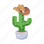 prickly plant, cacti, cactus, desert plant, succulent 