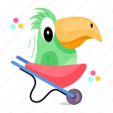 parrot skating, bird skating, psittaciformes, pet, creature