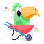 parrot skating, bird skating, psittaciformes, pet, creature 
