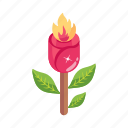 flower magic, flower trick, burning flower, floral, rosebud
