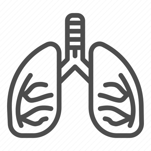 Lung, respiratory, health, human, medical, anatomy, biology icon - Download on Iconfinder