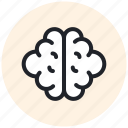 brain, mind, idea, intelligence, thinking, head, creative, human, technology
