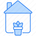 house plants, botanical, nature, gardening, indoor plants, plant pot, plant, pot, home decoration