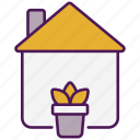 house plants, botanical, nature, gardening, indoor plants, plant pot, plant, pot, home decoration