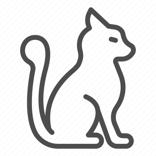 Cat, fluffy, tail, animal, kitty, kitten, beautiful icon - Download on Iconfinder