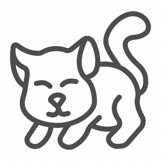 Kitten, cat, cute, pet, domestic, feline, mammal icon - Download on Iconfinder