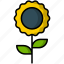 sunflower, flower, nature, plant, blossom, spring, food, gardening, leaf 