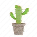 plant, cactus plant, cactus, plant pot, nature, cactus-pot, pot, desert, ecology 