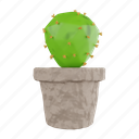 plant, cactus plant, cactus, plant pot, nature, cactus-pot, pot, desert, ecology 