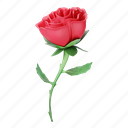 rose, red rose, flower, floral, romance, garden, love, blossom