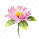 lotus, flower, floral, zen, garden, blossom