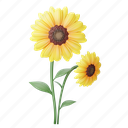 sunflower, nature, floral, plant, flower