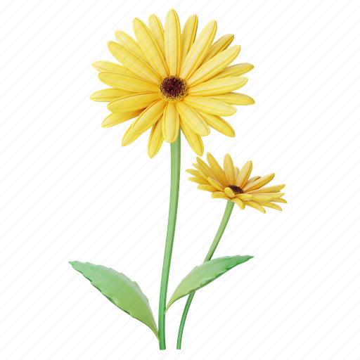 Gerbera, flower, floral, flora, yellow flower, blossom, bloom icon - Download on Iconfinder