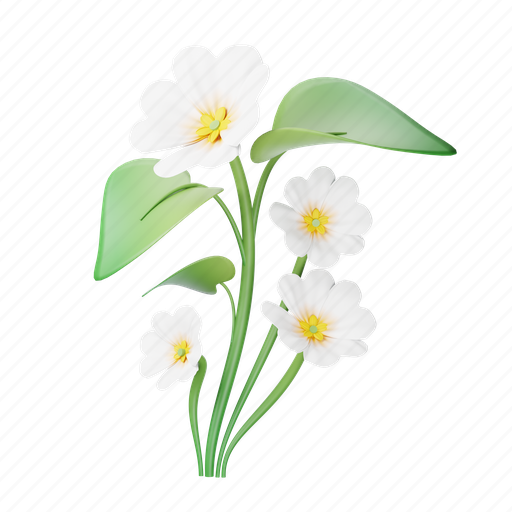 Primrose, flower, floral, flora, plant, nature icon - Download on Iconfinder