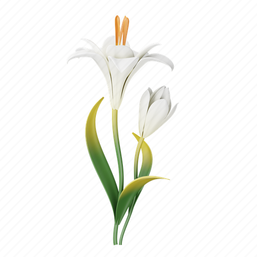 Lily, flower, flora, blossom, floral, plant, flowers icon - Download on Iconfinder