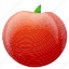 tomato, fruit, vegetable, food 