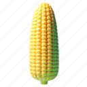 corn, popcorn, farm, agriculture, snack, maize, grain, food, vegetable 