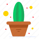 cactus, flower, plant, pot