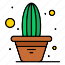 cactus, flower, independence, july, of, plant, pot, usa