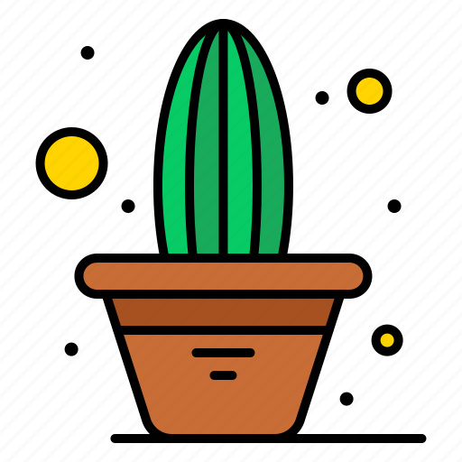 Cactus, flower, independence, july, of, plant, pot icon - Download on Iconfinder