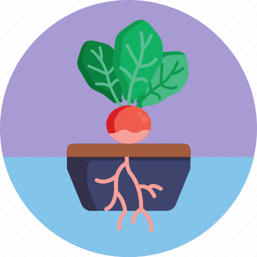 Bio, food, agriculture, beetroot, plant icon - Download on Iconfinder