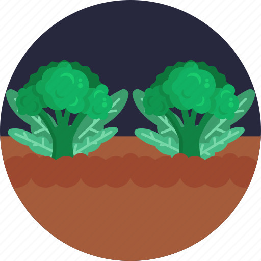 Bio, food, agriculture, spinach, vegetable, farm icon - Download on Iconfinder