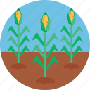 bio, food, agriculture, corn