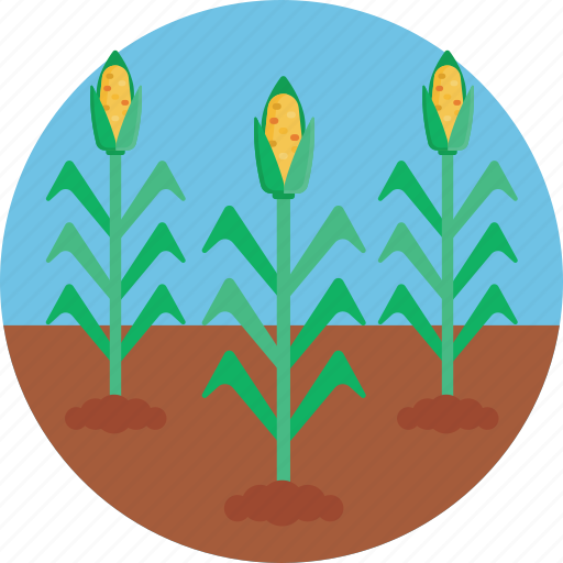 Bio, food, agriculture, corn icon - Download on Iconfinder