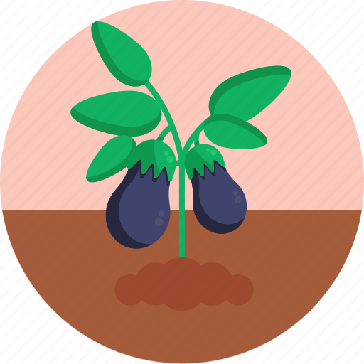 Bio, food, agriculture, eggplant, vegetable icon - Download on Iconfinder