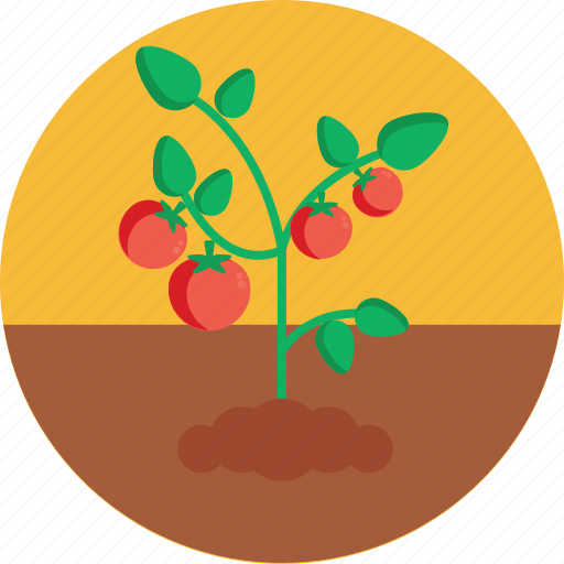 Bio, food, agriculture, tomatoes, plant icon - Download on Iconfinder
