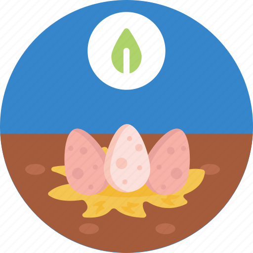 Bio, food, agriculture, eggs icon - Download on Iconfinder