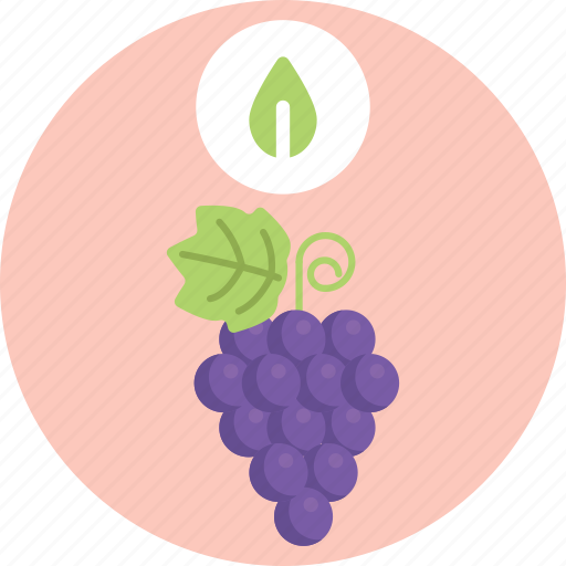 Bio, food, agriculture, grapes, fruit, farming icon - Download on Iconfinder