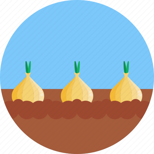 Bio, food, agriculture, onion, farm icon - Download on Iconfinder
