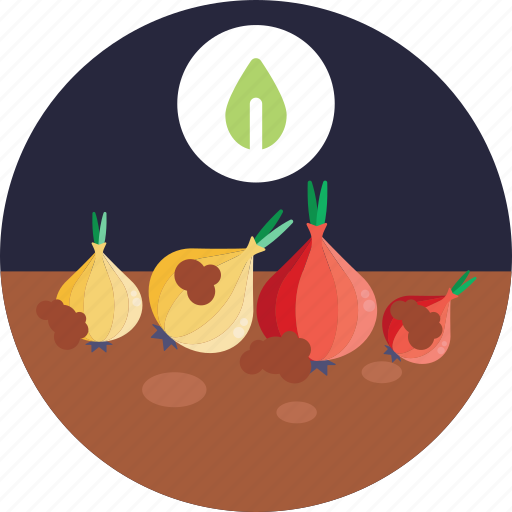 Bio, food, agriculture, onion, farm icon - Download on Iconfinder