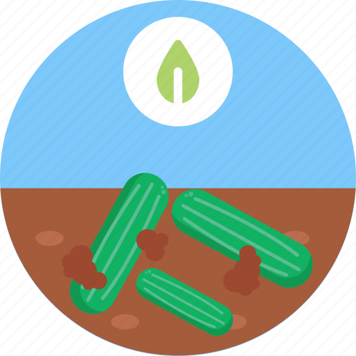 Bio, food, agriculture, cucumber, farm icon - Download on Iconfinder