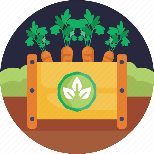Bio, food, agriculture, carrot, crate, farming icon - Download on Iconfinder