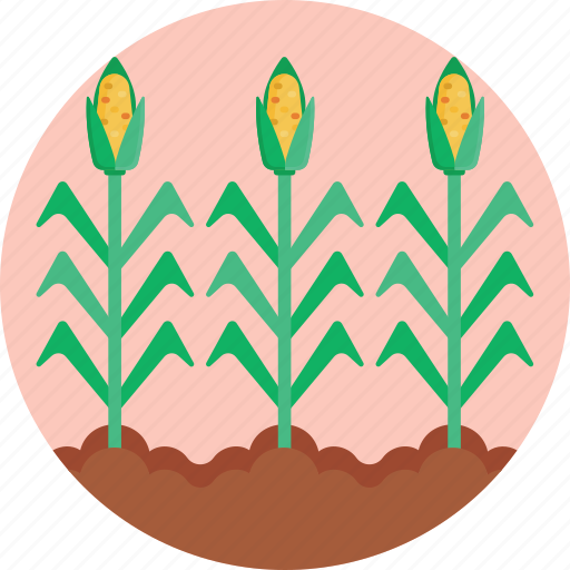 Country, life, corn, garden, farm icon - Download on Iconfinder