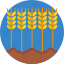country, life, farming, wheat, farm 