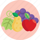 country, life, vegetables, tomatoes, farming, fruits