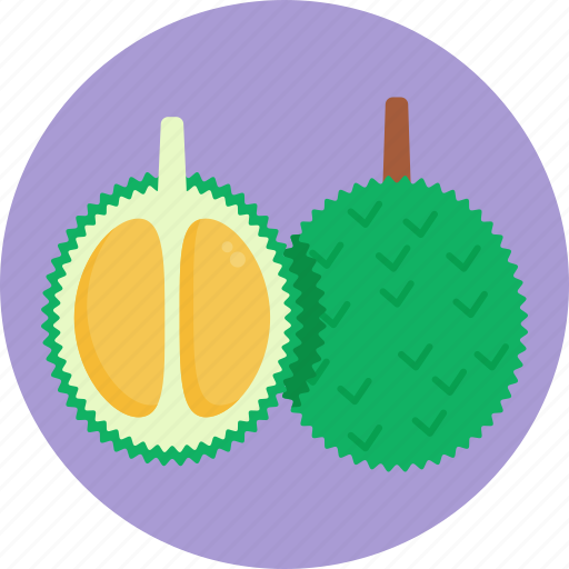 Exotic, fruits, durian, fruit, food icon - Download on Iconfinder