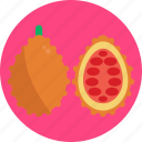 exotic, fruits, jackfruit, fruit, food