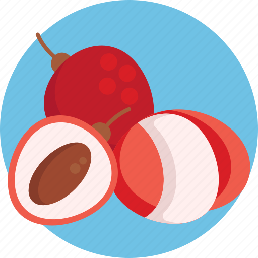 Exotic, fruits, lychee, fruit, food icon - Download on Iconfinder