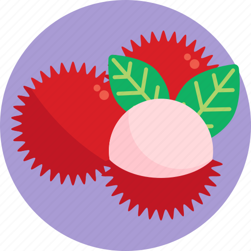 Exotic, fruits, rambutan, fruit, food icon - Download on Iconfinder
