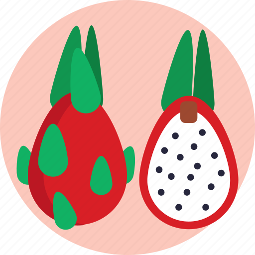 Exotic, fruits, dragon fruit, fruit, food icon - Download on Iconfinder