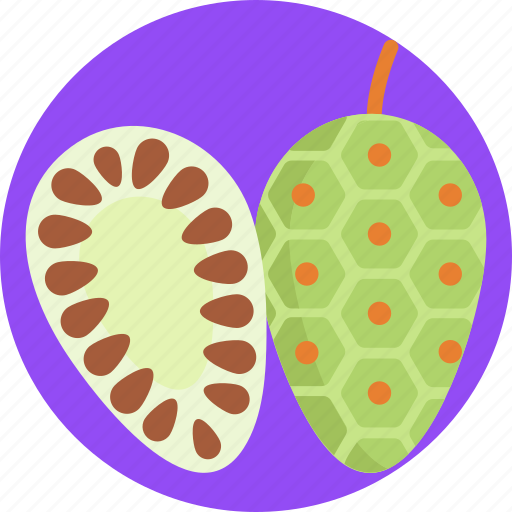 Exotic, fruits, noni fruit, fruit, food icon - Download on Iconfinder