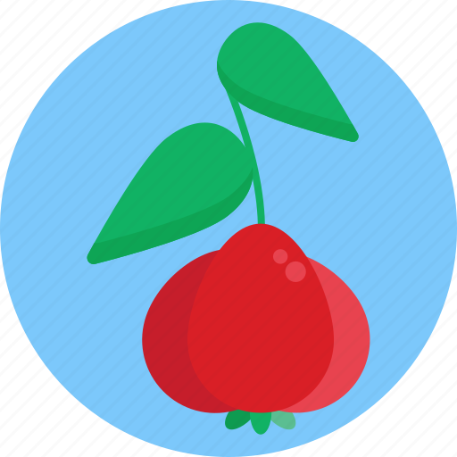 Exotic, fruits, cherry, fruit, food icon - Download on Iconfinder