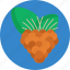 exotic, fruits, salmonberry 